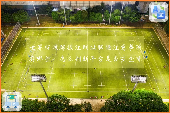 世界杯滚球投注网站临场注意事项有哪些，怎么判断平台是否安全可靠
