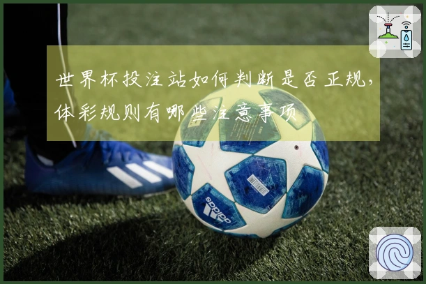 世界杯投注站如何判断是否正规，体彩规则有哪些注意事项