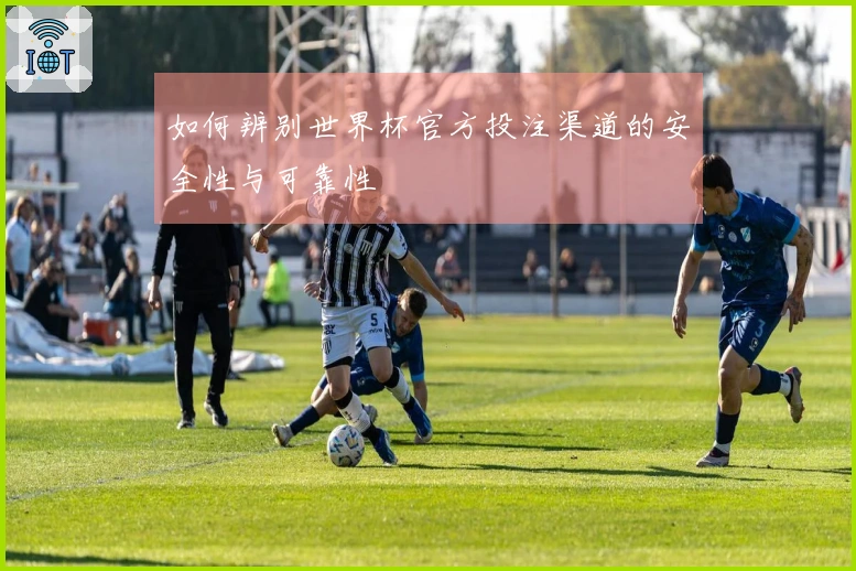 如何辨别世界杯官方投注渠道的安全性与可靠性