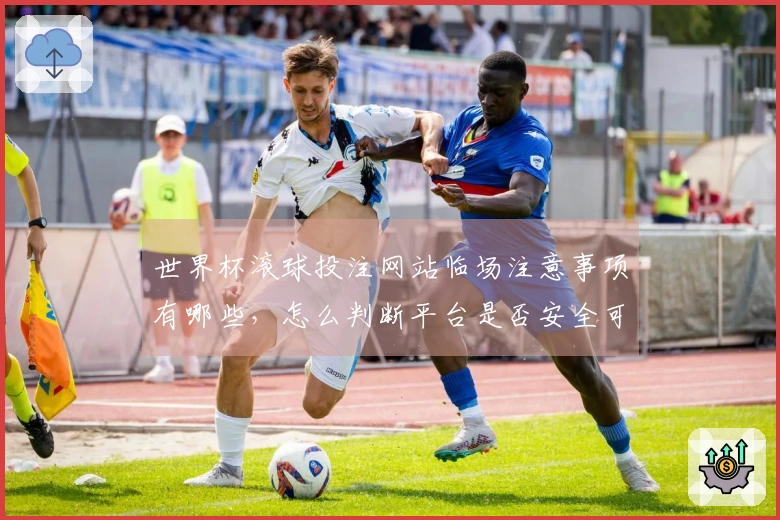 世界杯滚球投注网站临场注意事项有哪些，怎么判断平台是否安全可靠